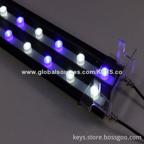 Silver 12,000k High Power LED Marine Aquarium Lights AC 100V With 2ft Lens